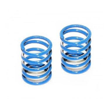 BLUE SHOCK SPRING FRONT -...