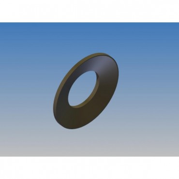 BELLEVILLE SPRING SHIMS (2...