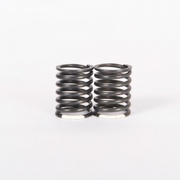 FRONT SHOCK SPRINGS 0.58KG...