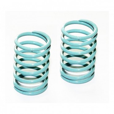 LIGHT BLUE REAR SPRINGS 1/10